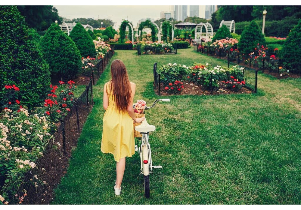 Gartengestaltung: Kompletter Leitfaden mit Ideen und Tipps