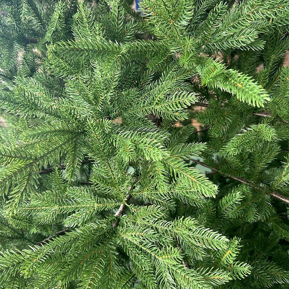 Künstlicher Premium-Weihnachtsbaum, Voll-PE 3D, 9100 Zweige, 158 cm Durchmesser, Metallständer, Elf, Höhe 250 cm
